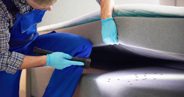 Best Rat Extermination Near Me  in Orchard Grass Hills, KY
