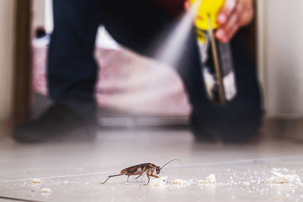 Best Local Pest Control Services  in Orchard Grass Hills, KY