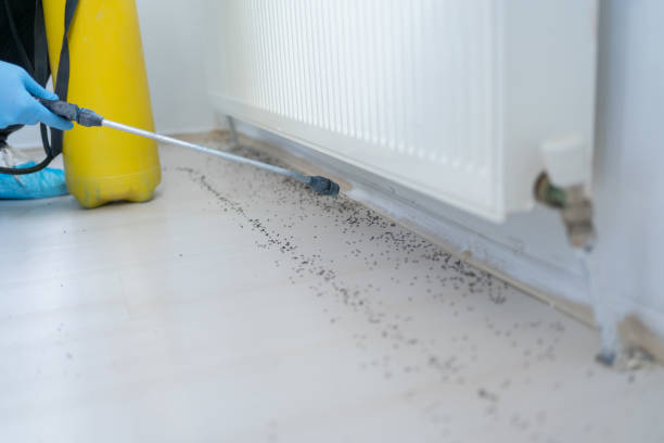 Best Pest Removal Services  in Orchard Grass Hills, KY