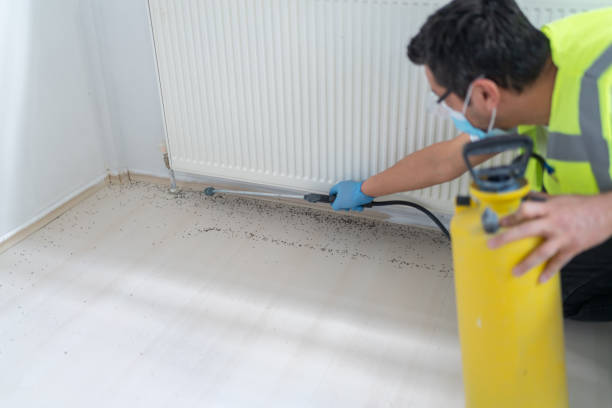 Pest Prevention Services in Orchard Grass Hills, KY