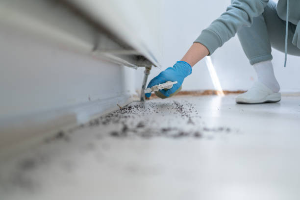 Best Mosquito Control Services  in Orchard Grass Hills, KY